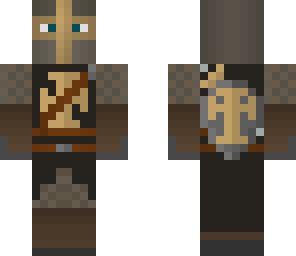 paladin skin