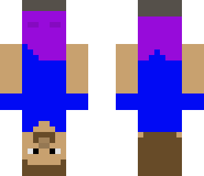 upside down steve