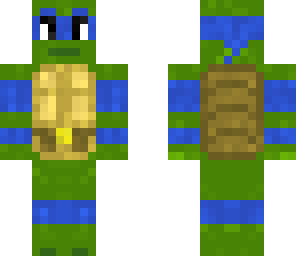 the ninja turtles
