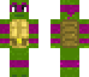 the ninja turtles