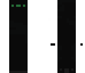 ninja creeoa