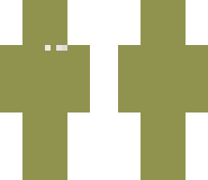 the camoflash man