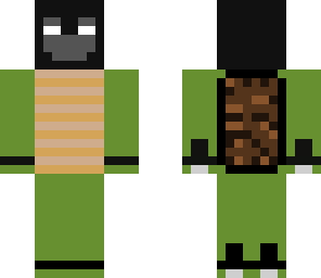 assassin trutle