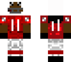 larry fitzgerald