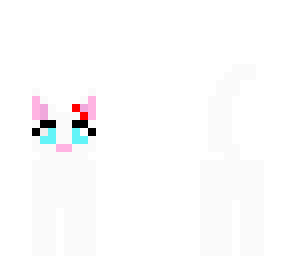 kitty cat
