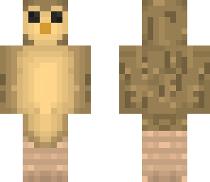 owl