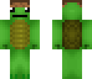 turtle