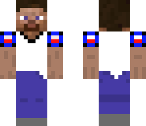 polish steave