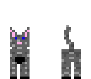 grey kitty fixed