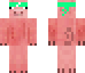 ninja pig