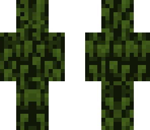 camo flash