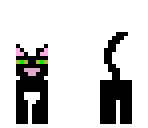 bessie the cat