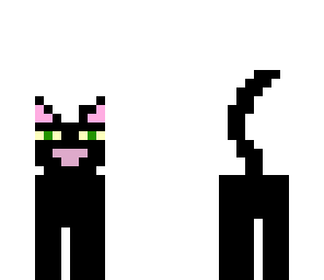 puma the black cat
