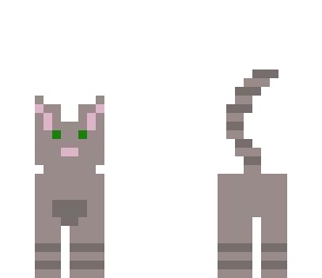 cookydoe's cat