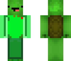 turtle time