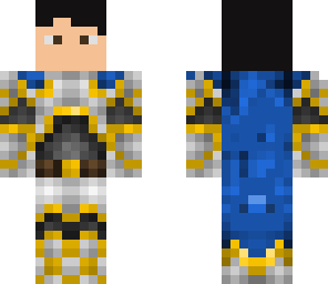 angel paladin