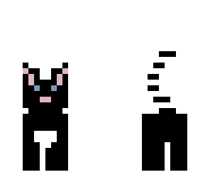 kitten