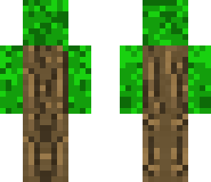 tree beard