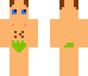 flint steve
