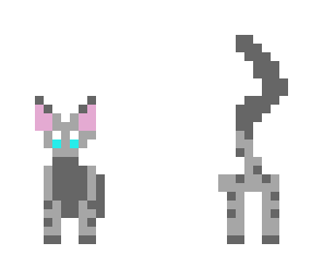 the cool cat