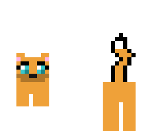 jumping cat