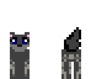 gray wolf