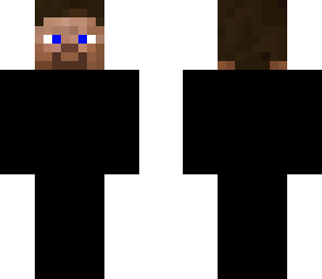 ninja steve