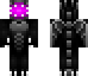 ender dragon