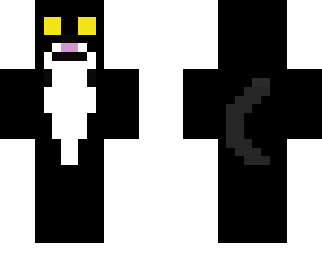 black and white cat