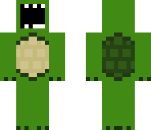 turtle3