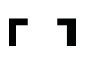 gun