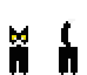 black cat with mustache