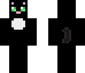 my cat