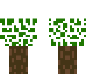 my failed tree