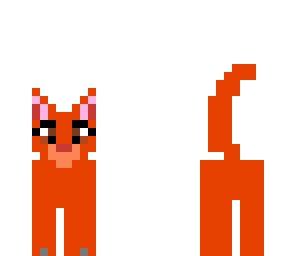 kitty or cat
