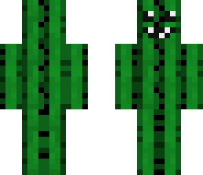 monster cactus