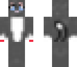warrior cat
