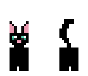 witches cat