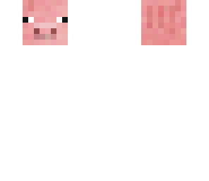 pig head