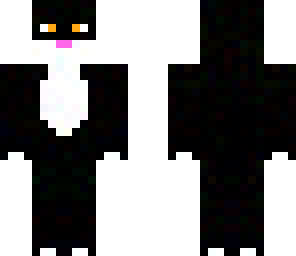 black cat