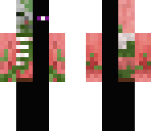 ender pigman