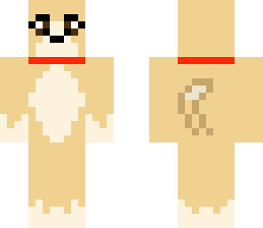cute female puppy doggy