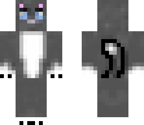 kitty cat