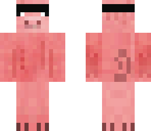 ninja pig