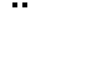 skeleten