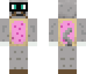nyan disguise