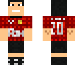 robin van persie