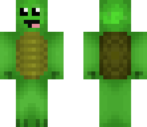 epi turtle