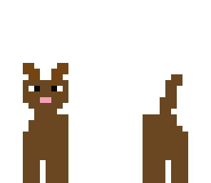 perro