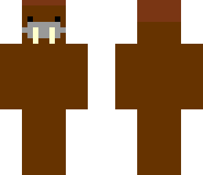 walrus